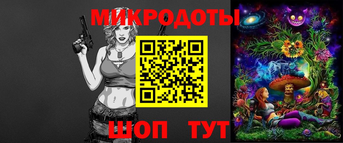Галлюциногенные грибы Psilocybe Звенигород